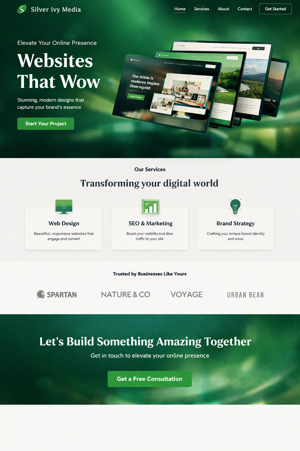 Website Mockup 2